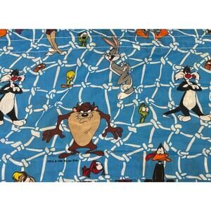 Vintage 1996 Warner Bros Taz Sylvester Tweety Daffy Bugs Bunny Curtain Valance